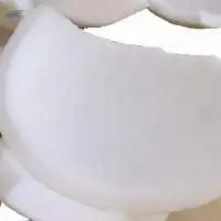 Frozen Coconut Meat