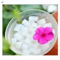 Nata De Coco