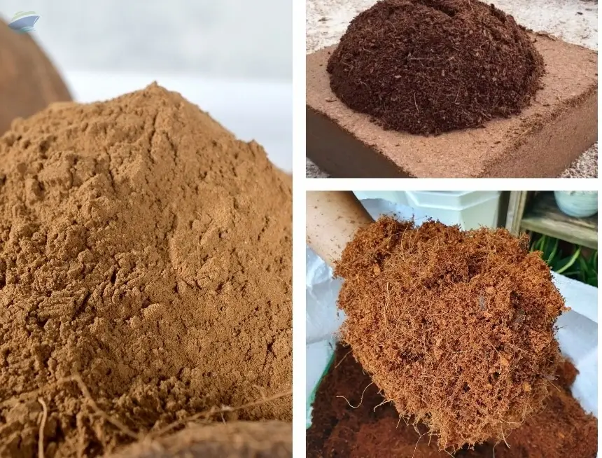 Coco Peat