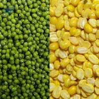 Green Mung Beans / Hulled Mung Beans