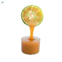 Frozen Calamansi Puree