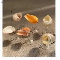 Seashell Glasses