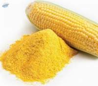 Corn Starch