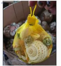 Mixed Shell Bag