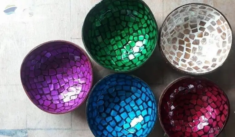 Coconut Shell Bowl