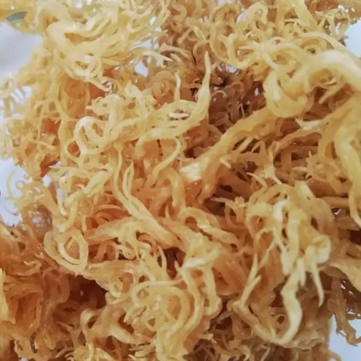 Dried Sea Moss