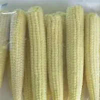 Baby Corn