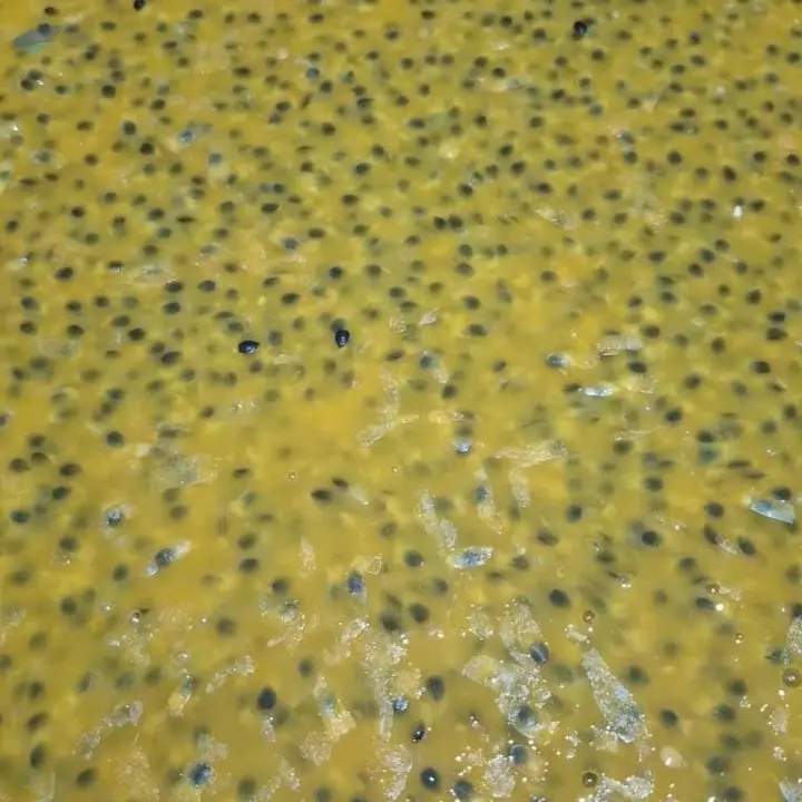 Frozen Passion Fruit