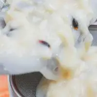 Frozen Soursop (Graviola)