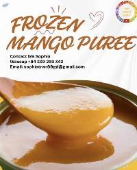 Frozen Mango Puree