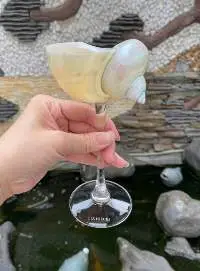Wine Seashell Glass