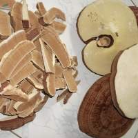 Natural Vietnamese Lingzhi Reishi Mushroom Whole