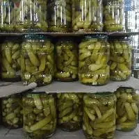 Pickle Mini Cucumber