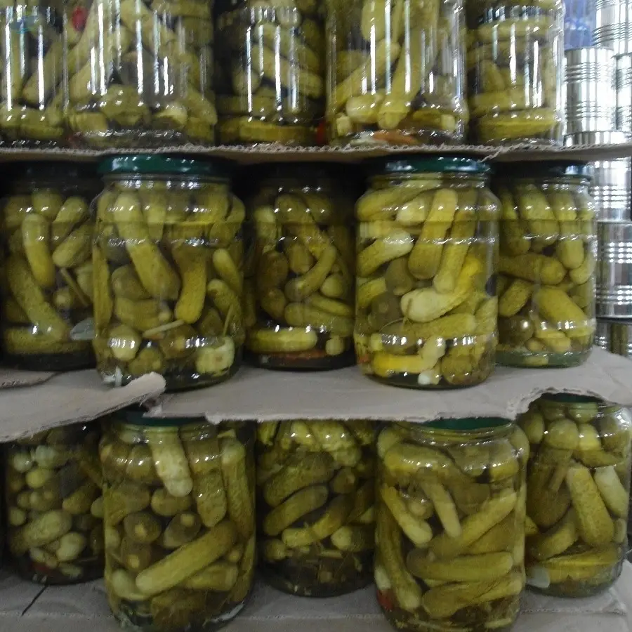 Pickle Mini Cucumber