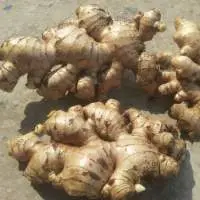 Fresh Ginger