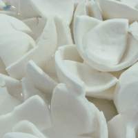 Frozen Coconut