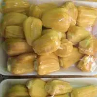 Frozen Jackfruit