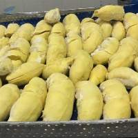 IQF Frozen Durian