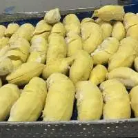 IQF Frozen Durian