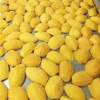 Iqf Frozen Mango Whole & Cube