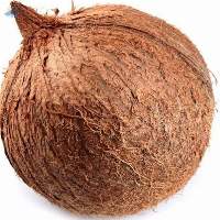 Fresh Mature Coconut
