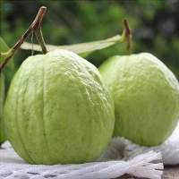 Fresh Guava