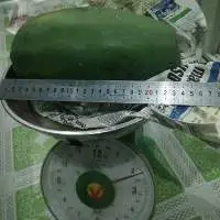 Fresh Papaya