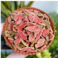 Soft Dried Guava