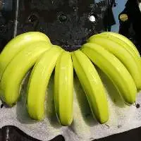 Fresh Cavendish Banana