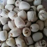 Dried White Lotus Seed