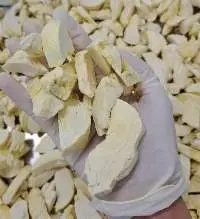 Freeze Dried Durian