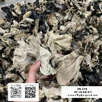 Dried Wood Ear Mushroom