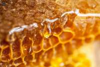 100% Raw Pure Honey Comb