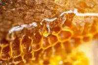 100% Raw Pure Honey Comb