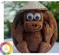 Coconut Monkey