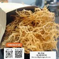 Dried Sea Moss