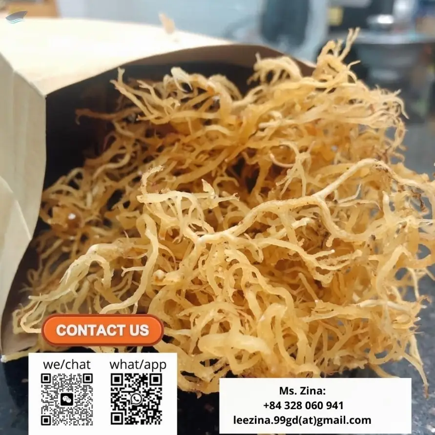 Dried Sea Moss