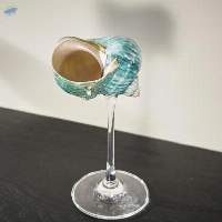 Seashell Glass