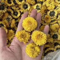 Daisy Chamomile Flower