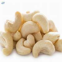 White Dried Cashew Nuts WW320 Binh Phuoc Vietnam