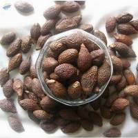 Malva nut