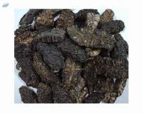 Dried Noni