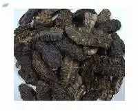 Dried Noni