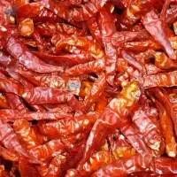 Dried Chilli