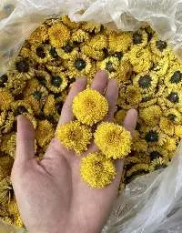 Chamomile Flowers