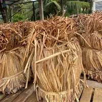 Dried Water Hyacinth