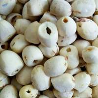 Lotus Seeds