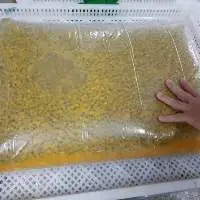 Frozen Passion Fruit Puree