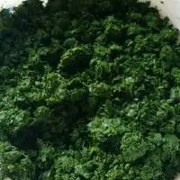 Frozen Cassava Leaf