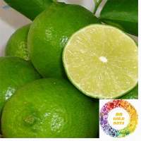 Fresh Lime